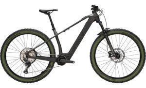 BULLS SONIC EVO SX 1 - 29 Zoll 400Wh 12K Diamant - UD carbon