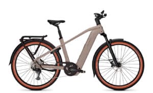 Kalkhoff ENTICE 5+ ADVANCE - 29 Zoll 800Wh 11K Diamant - moonstonegrey matt