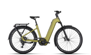 Kalkhoff ENTICE 5+ MOVE - 29 Zoll 800Wh 9K Wave - meadowgreen matt/ darkmeadowgreen matt