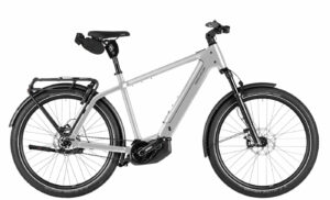 Riese & Müller Charger5 pinion Testrad - 27